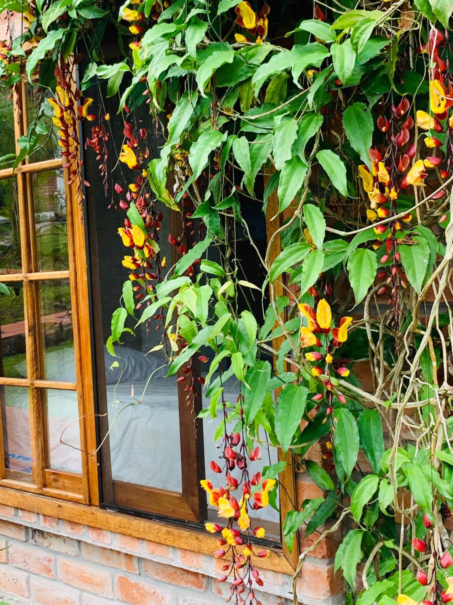La Casa Del Rio B&B بويو المظهر الخارجي الصورة