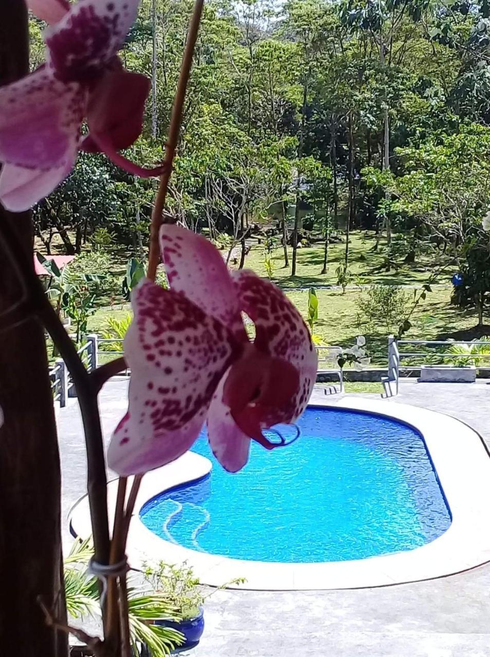 La Casa Del Rio B&B بويو المظهر الخارجي الصورة